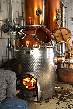 Picture: Distillery