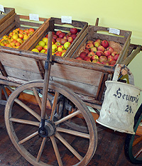 Bild: Verkauf von Obst aus dem Schleißheimer Hofgarten