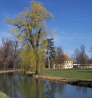 Bild: Ringkanal um Schloss Lustheim und Schöner Stall