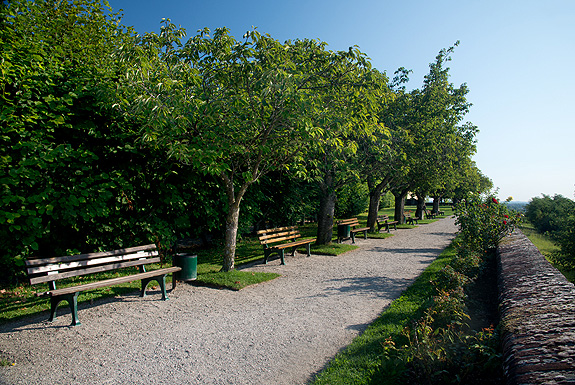 Hofgarten Dachau, Panoramaweg, Foto: Bayerische Schlösserverwaltung / Veronika Freudling Bild: Hofgarten Dachau, Panoramaweg